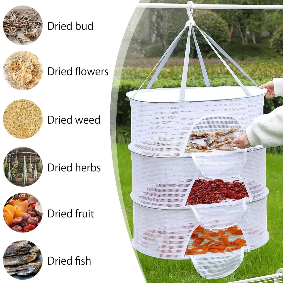 A folding hanging drying net with mesh protection displaying various dried foods like buds, flowers, herbs, fruit, and fish.
