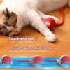 Smart Sensor Cat Toy Ball with Chirping Bird Teaser