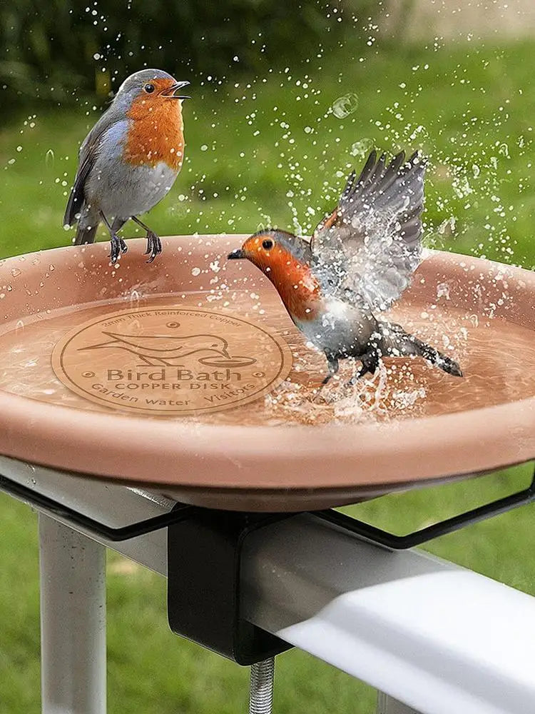 A small bird is splashing water onto a copper disk used as a bird bath cleaner.