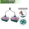 Seed Starter Tray with LED Grow Light and Humidity Dome