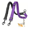 Dual Dog Leash with Shock-Absorbing Bungee