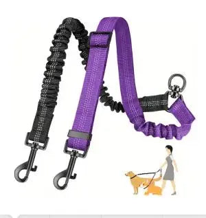 Dual Dog Leash with Shock-Absorbing Bungee