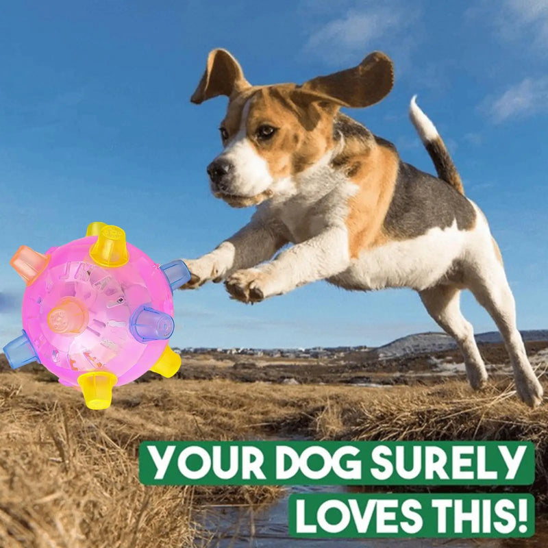 Interactive Auto-Bouncing Dog Ball with Lights & Sound