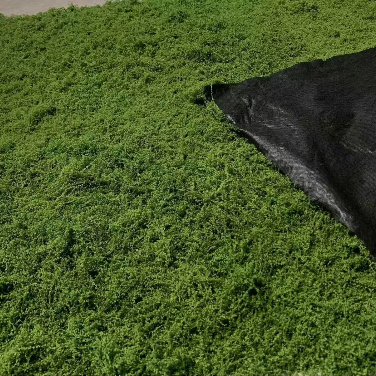 Realistic Artificial Moss Mat for Home & Garden Decor