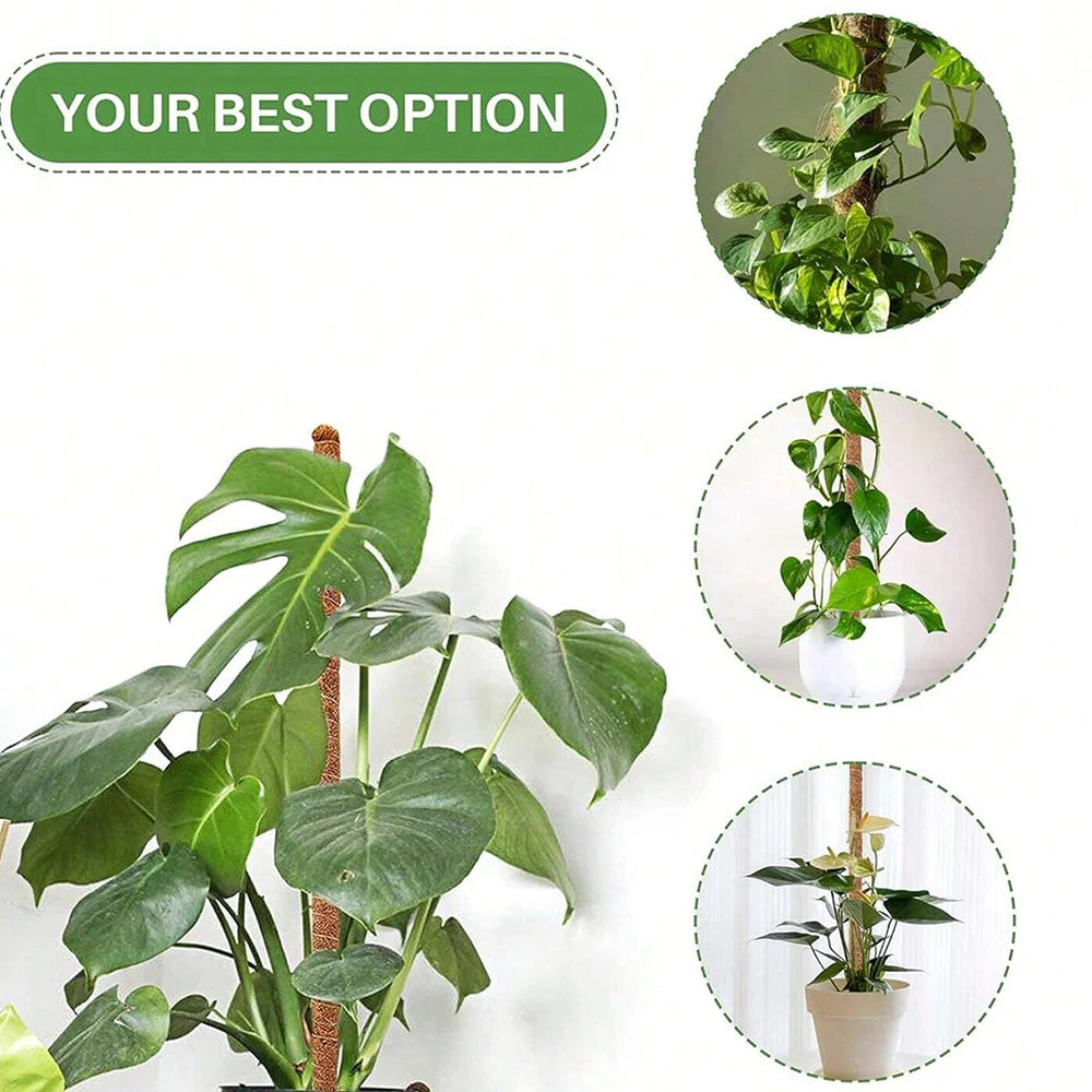 A natural coir moss pole used for climbing plants, shown with various potted green plants.