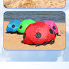 Ladybird Ground Kite for Outdoor Family Fun