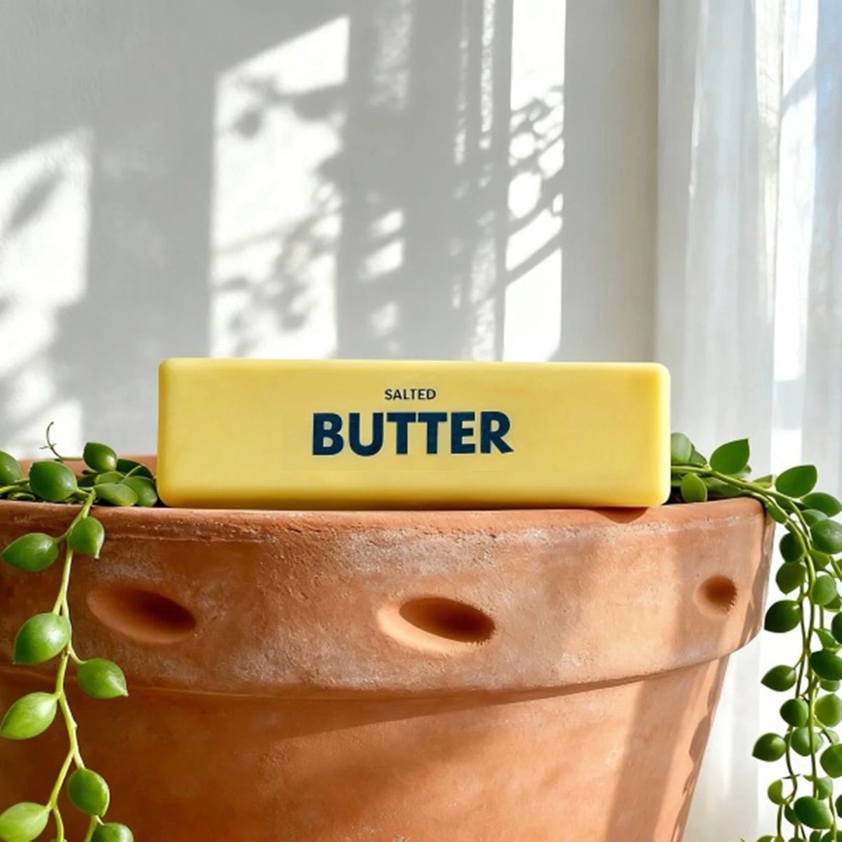 Gelbes Butter-Pressspielzeug auf einer Terrakotta-Topf mit grünen Ranken.