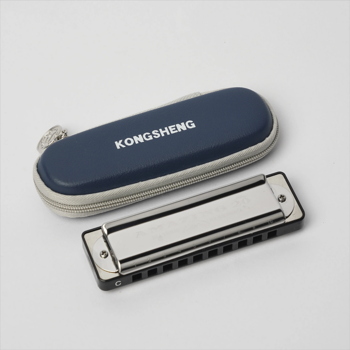 Professional 10-Hole Diatonic Harmonica with Phosphor Bronze Reeds