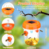 Solar-Powered Outdoor Insect Trap