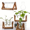 Tabletop Glass Planter Propagation Station with Wooden Rack