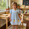 Girls' Plaid A-Line Summer Dress with Embroidered Details