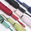 A collection of colorful automatic foldable umbrellas with various colored shafts and fabric covers.