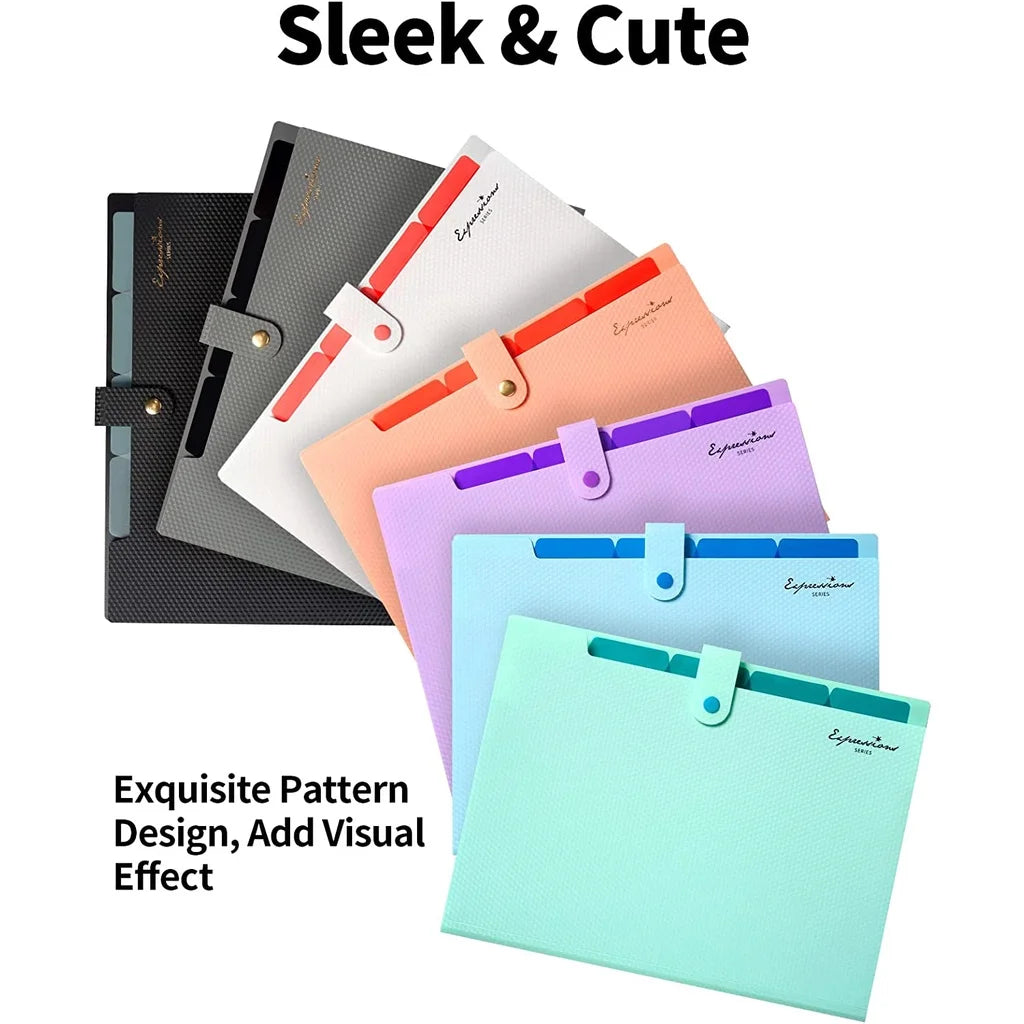 5-Pocket Expanding File Folder with Tabs