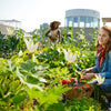 A woman is tending to a garden filled with green plants and white flowers, with dragonfly clips visible.