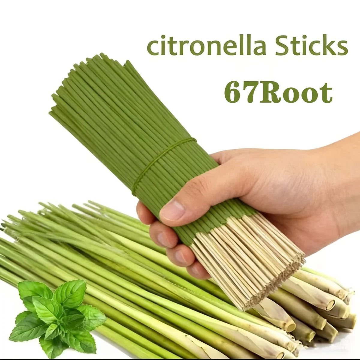 Hand holding green citronella sticks next to fresh mint leaves