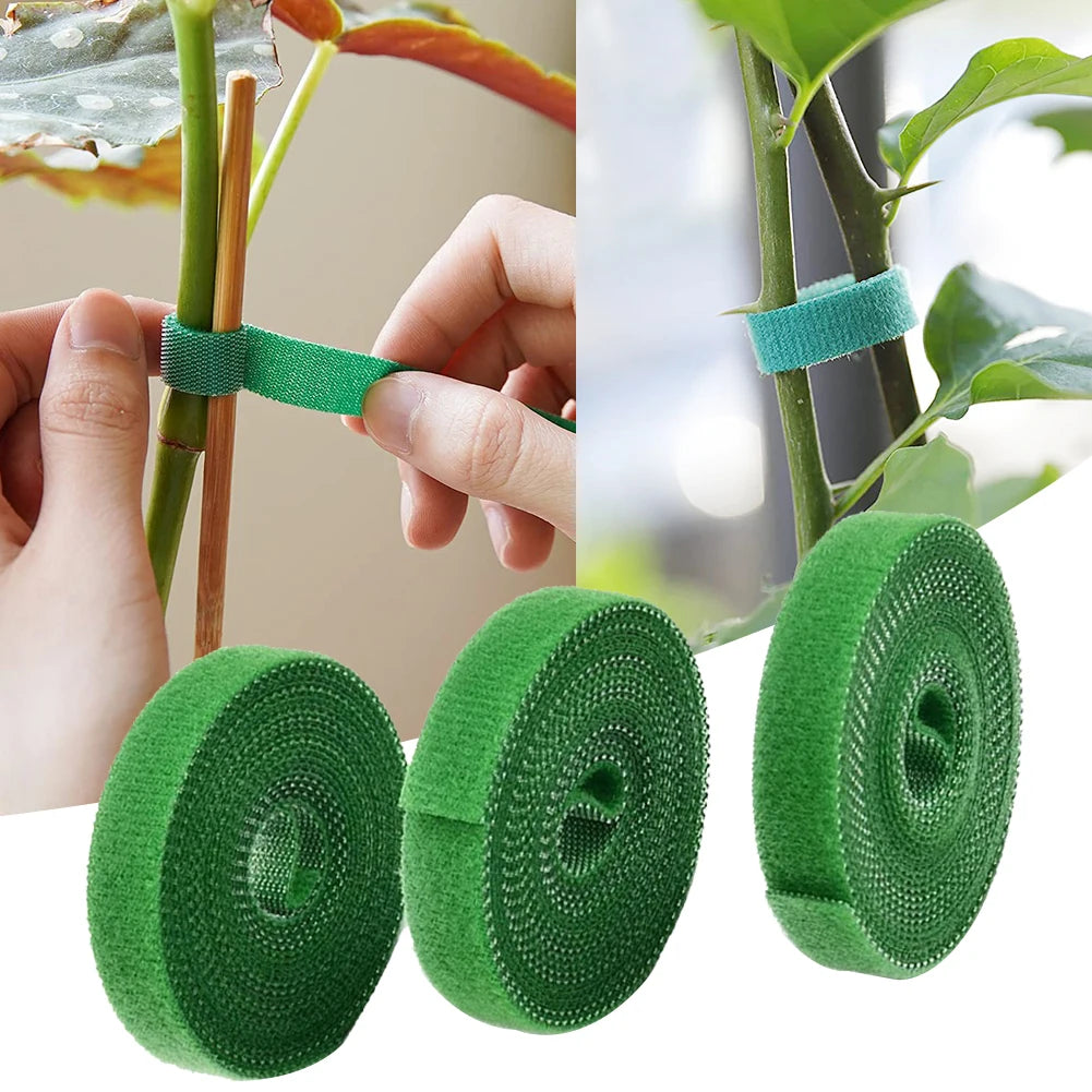 Grüne Gartenfadenpflanzenschnüre, verwendet zur Binden eines Pflanzenstiels und aufgerollt für die Kabelverwaltung