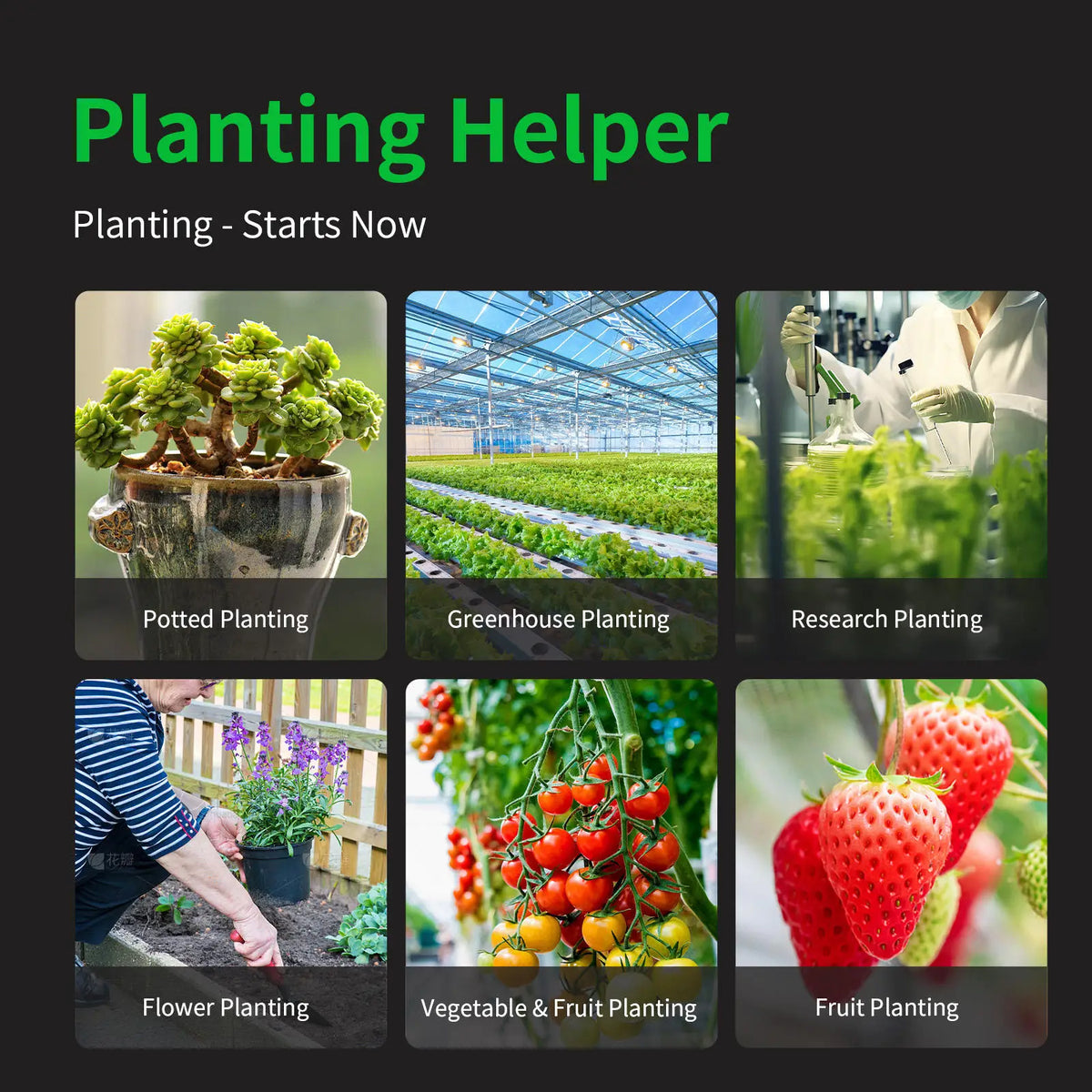 A set of six gardening tools and plants demonstrating various types of planting including potted, greenhouse, research, flowe