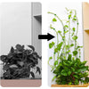 Self-Adhesive Leaf-Shaped Plant Climbing Clips