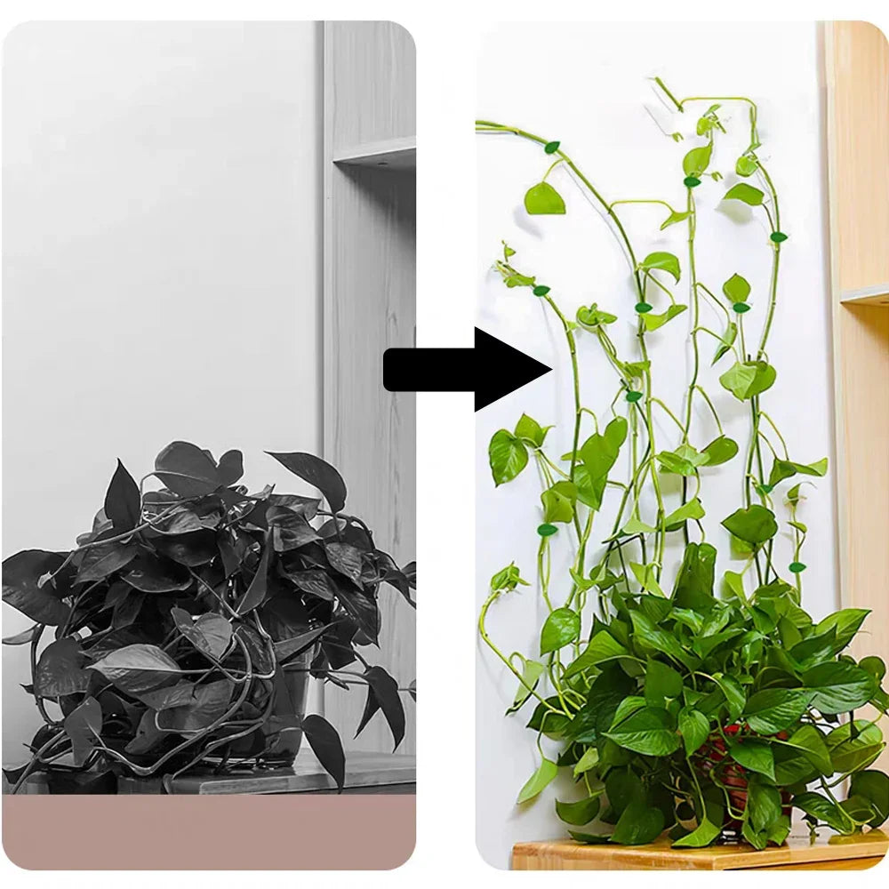 Self-Adhesive Leaf-Shaped Plant Climbing Clips