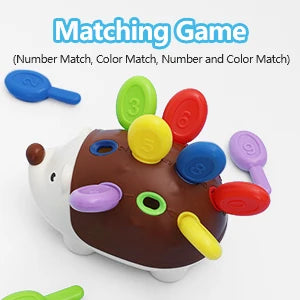 Montessori Sensory Hedgehog Toy for Toddlers