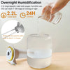 2.2L USB-Powered Ultrasonic Humidifier with LED Night Light
