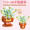 DIY Succulent Plant Building Block Bouquet