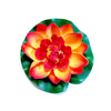A vibrant orange and red lotus flower with green leaves used for pond and garden decor.