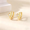 Cubic Zirconia Hoop Earrings