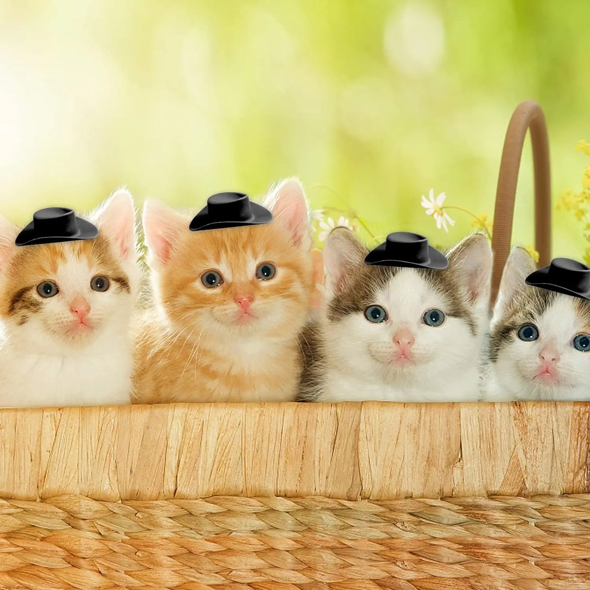 Five orange and white kittens wearing miniature cowboy hats for party favors or cake toppers