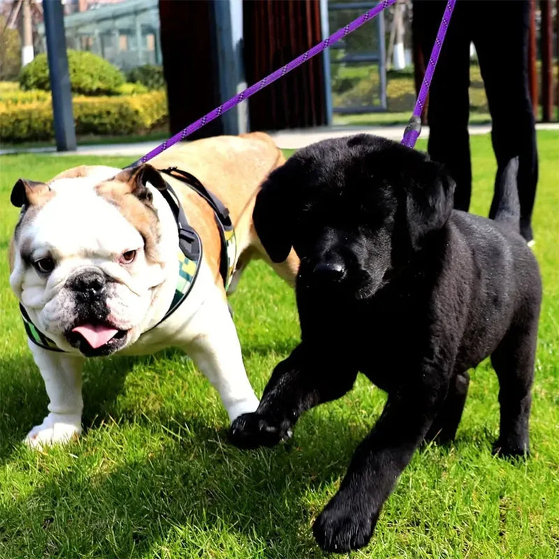 Dual Dog Leash with 360° Swivel Tangle-Free Design