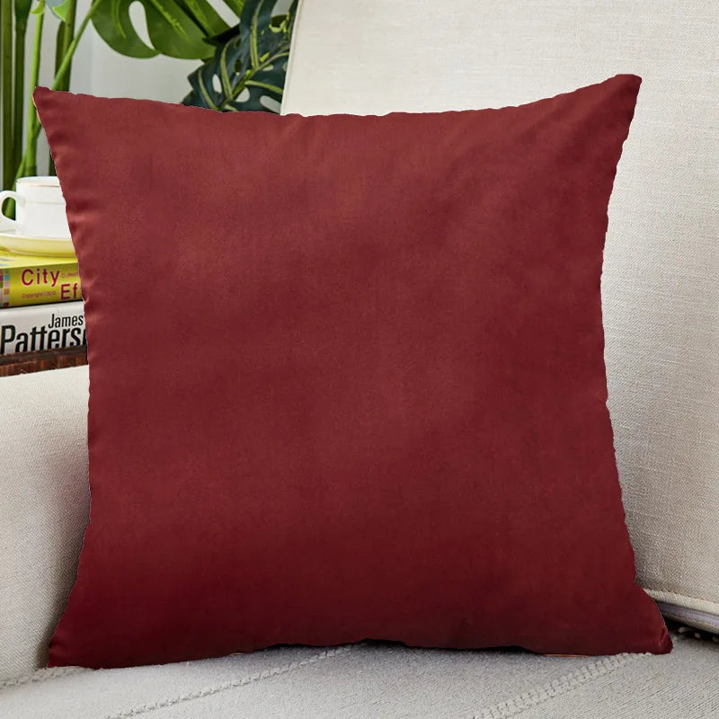 Velvet Throw Pillow Cover for Sofa and Bed Decor