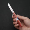Stainless Steel Folding Utility Knife with Pocket Clip