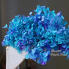 Preserved Hydrangea Flower Heads for Crafts and Home Decor