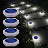 A series of solar powered LED step and path lights illuminating a garden pathway.