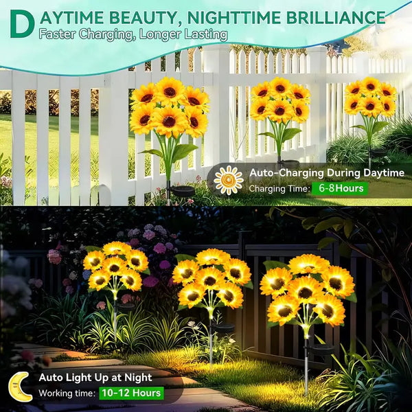 Lumières de jardin tournesol solaires, chargent pendant la journée et s'allument la nuit
