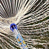 Water God Water Gun - Long-Range Spray Toy for Kids