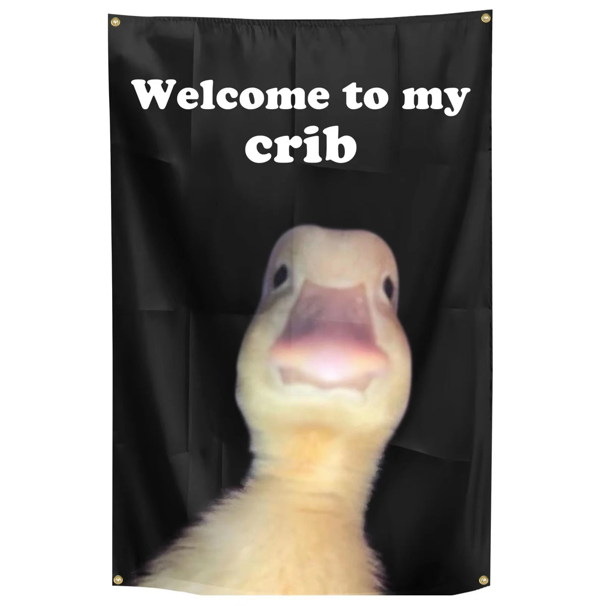 Welcome to My Crib Funny Flag for Dorm Room & Home Decor