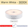 Rechargeable Motion Sensor Night Light