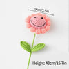 Handmade Crochet Carnation Flower Bouquet