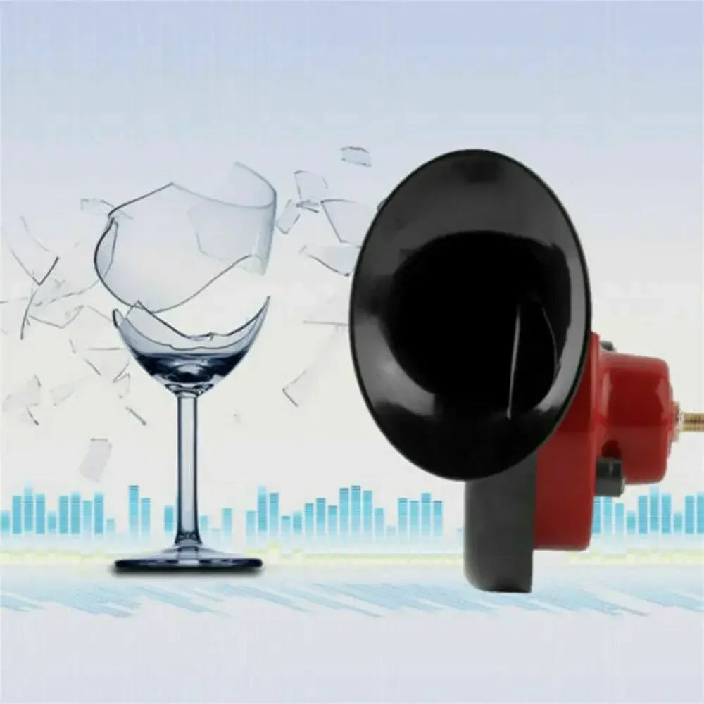 Dual-Tone Electric Air Horn Kit for Trucks, SUVs, and Boats