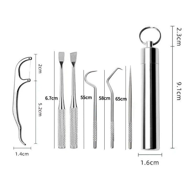 Reusable Stainless Steel Toothpick Set with Portable Case