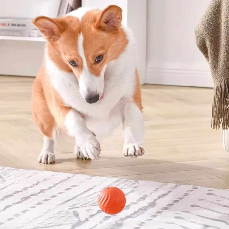Interactive Smart Dog Ball