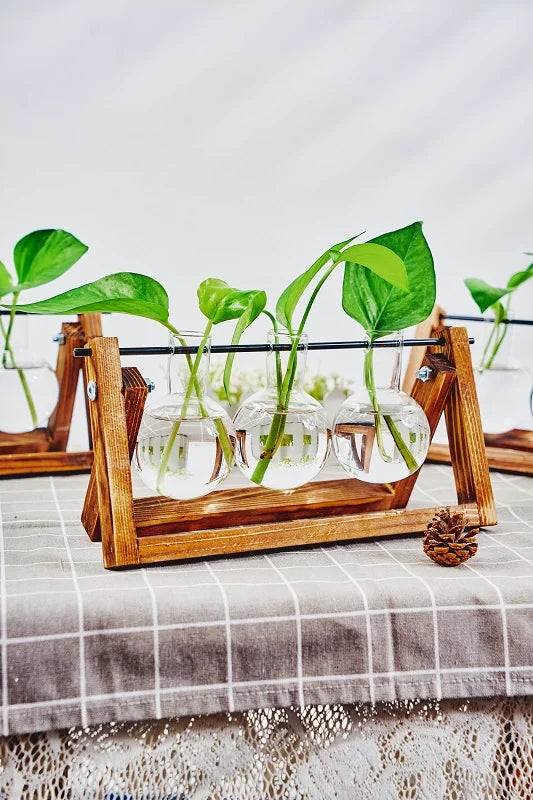 Tabletop Glass Planter Propagation Station with Wooden Rack