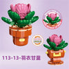 DIY Succulent Plant Building Block Bouquet