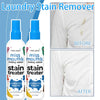 Portable Stain Remover Spray