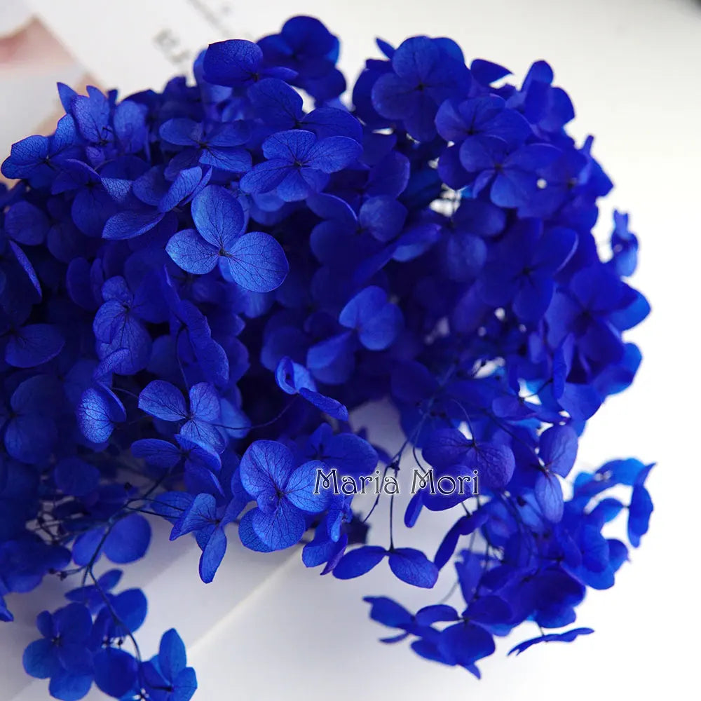 Preserved Hydrangea Flower Heads for Crafts and Home Decor
