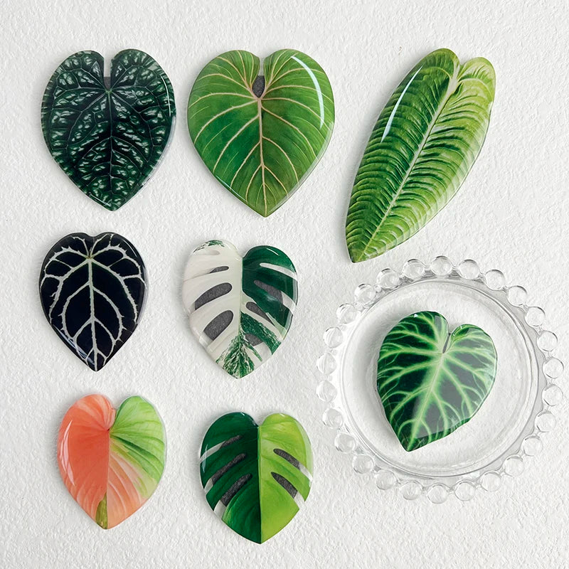 Acrylic Leaf Magnets Set - Fridge Decor