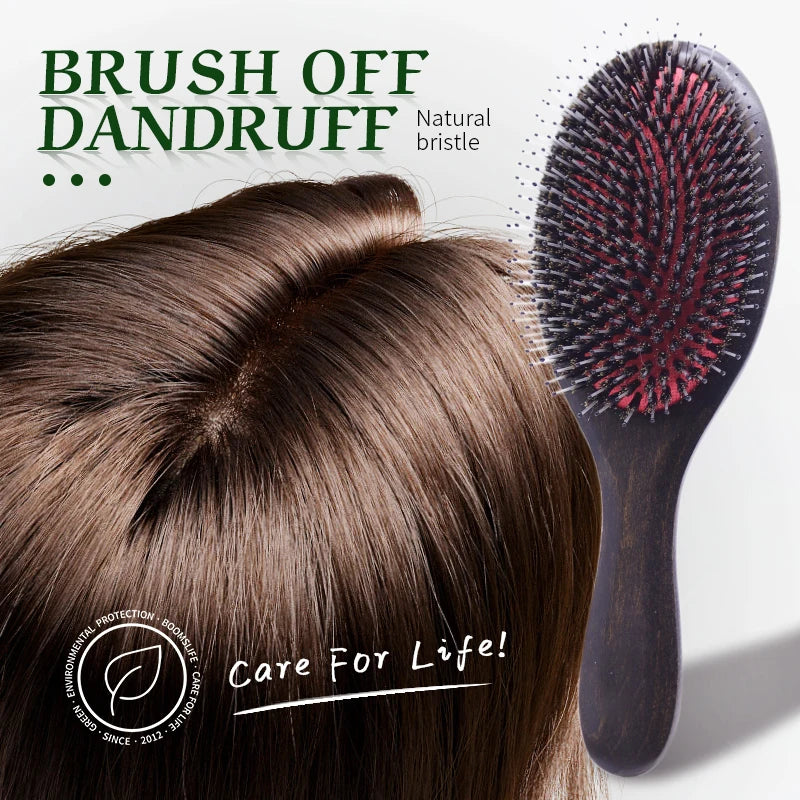 A dark brown hair brush with natural bristles is shown next to a person's hair, promoting scalp care.