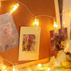 String lights illuminate a framed photo and a card featuring a floral design.