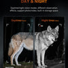 4K Night Vision Binoculars with 4.5" HD Screen and 800m Range